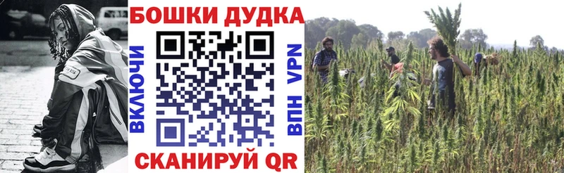 Что такое Сясьстрой АМФ  Бошки Шишки  Кокаин  Альфа ПВП  Мефедрон  ГАШИШ 