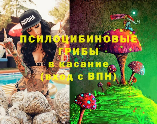 apvp Алзамай